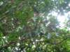 Photo Number 14